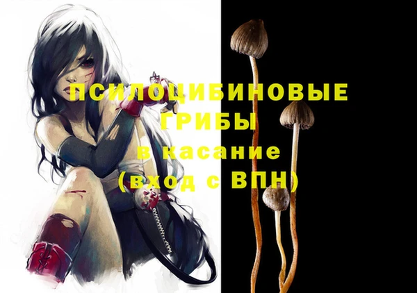 2c-b Вяземский